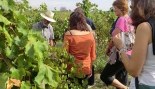 grupo mirando los vinedos que le ensena un enologo